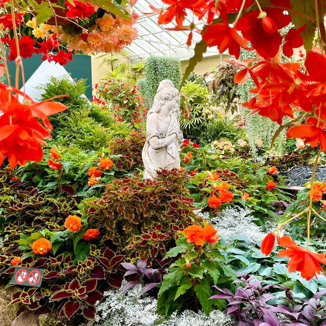 Tranquility in Bloom at Fitzroy Gardens 