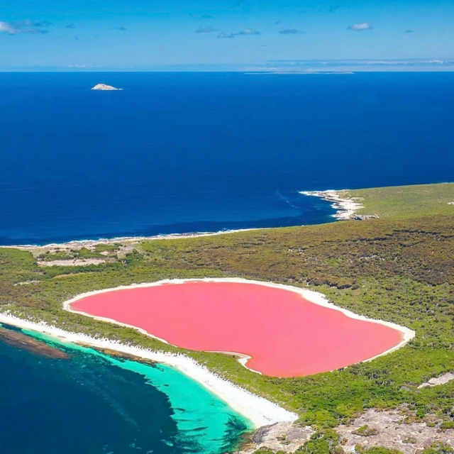 A Pink Paradise: Have You Seen the Stunning Lake Hillier in Perth??