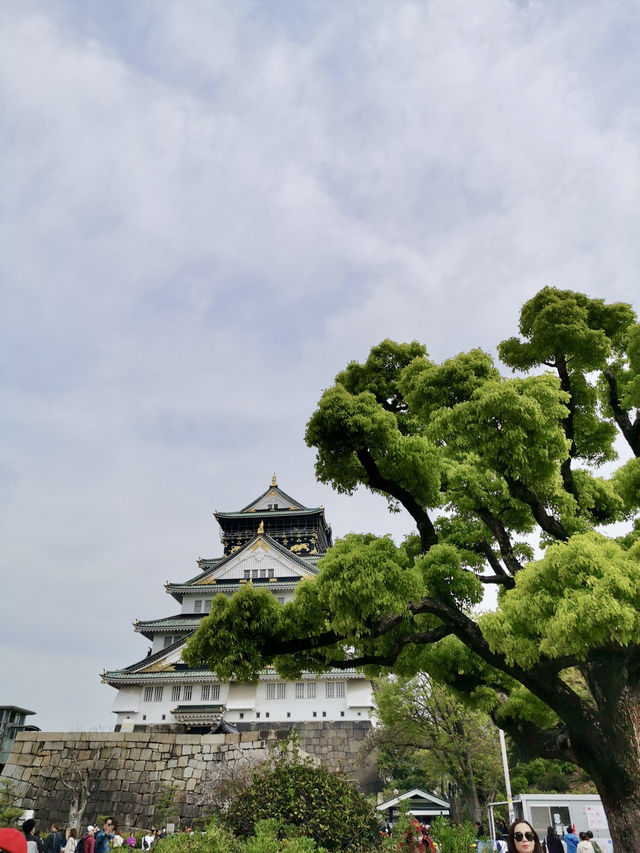 🇯🇵 From Temples to Sushi: A Journey Through Japan’s Must-See Spots and Flavors