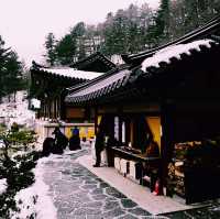 The Buddhist Temple