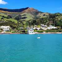 Akaroa Tour