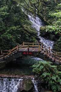 山野萬里|重慶黑山谷