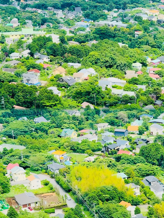 最魅力的 值得去一趟旅遊的大山室