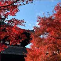 Fall colors in the temples of Japan