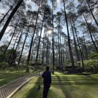 Orchid Forest in Bandung