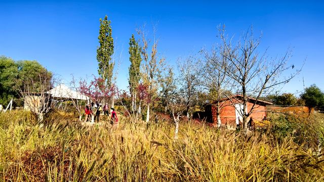 徒步、觀景、登小山都適宜。