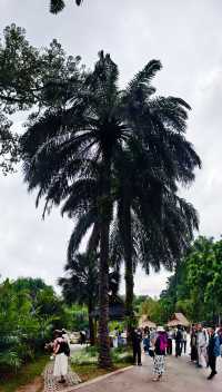 中國科學院西雙版納熱帶植物園（雲南省，5A）