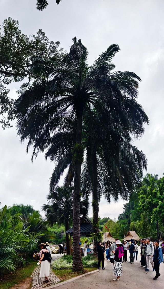 中國科學院西雙版納熱帶植物園（雲南省，5A）