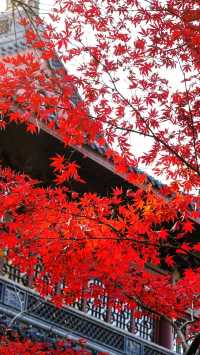 除了靈隱寺，竟然還有隱藏得這麼深的寶藏寺廟