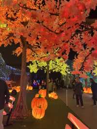 Illumi Toronto: A Must-Visit Light Show for Families