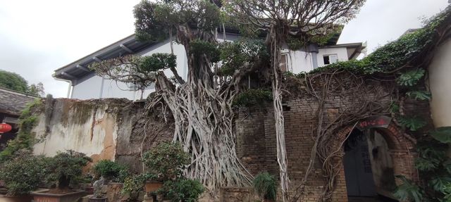 嚴復翰墨館～唯一進入故宮辦展的民間博物館