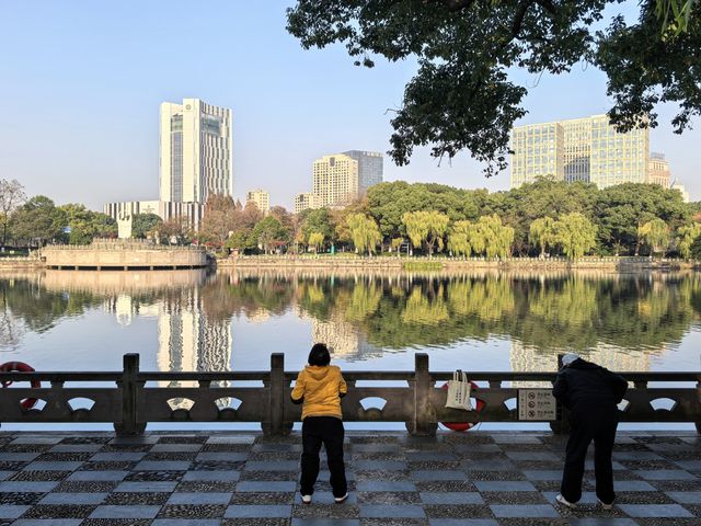 月湖公園的早晨丨穿越四季的江南園林