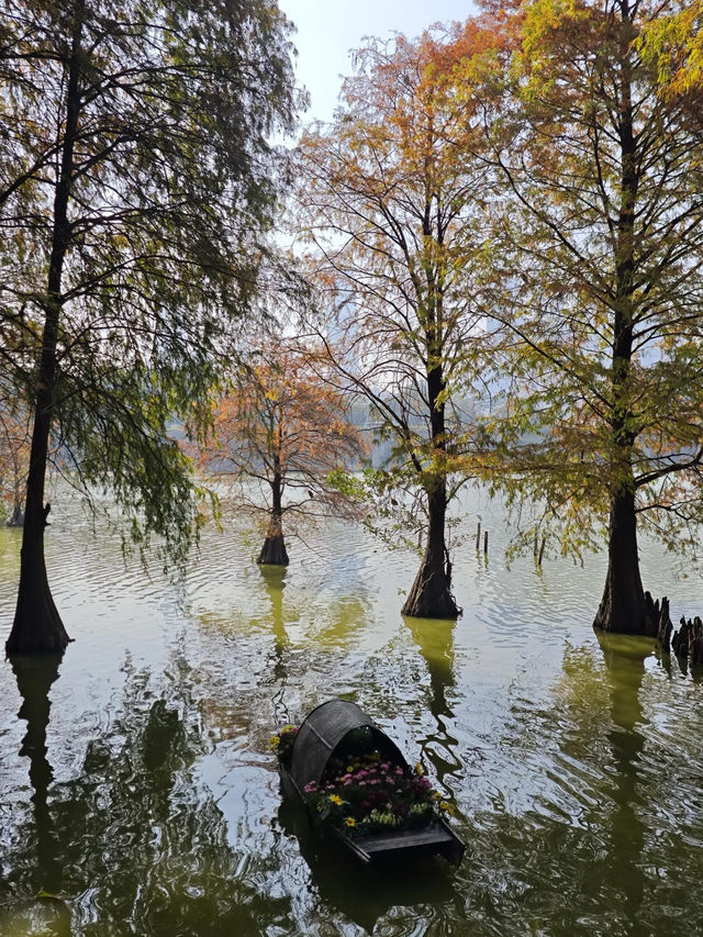 洪湖公園｜冬日限定童話森林，不可不愛。