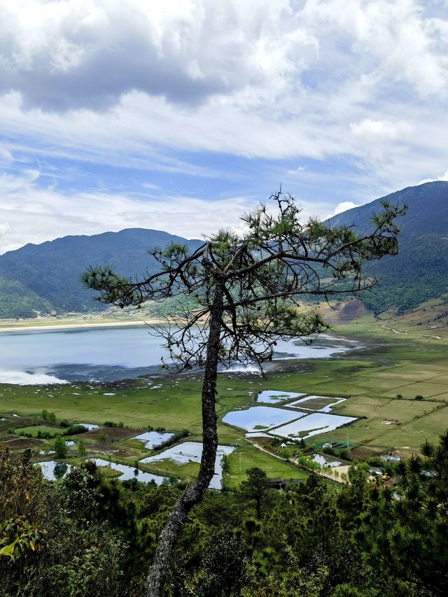 江西南昌-廬山-景德鎮 長者遊玩好去處