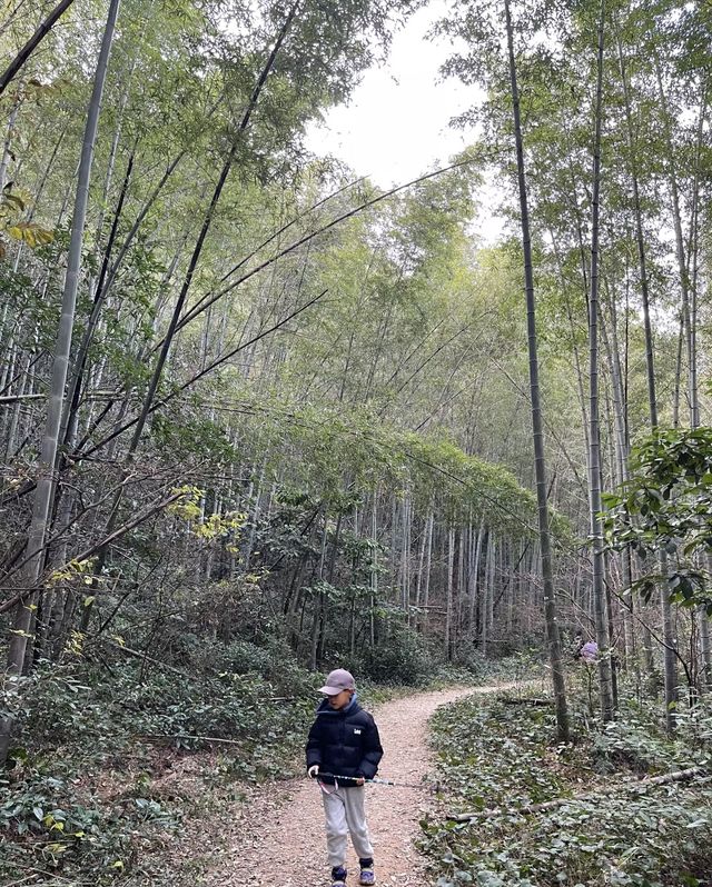 杭州豆腐皮古道，邂逅大洋坞水庫的極致美