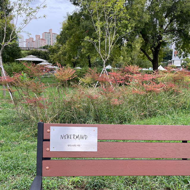 Leisure Time at Hangang Park, Seoul.