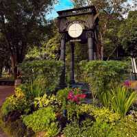 Serene Oasis in the City: Singapore Botanic Gardens