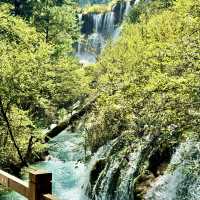 Must-Visit Wonderland: Jiuzhaigou Valley!