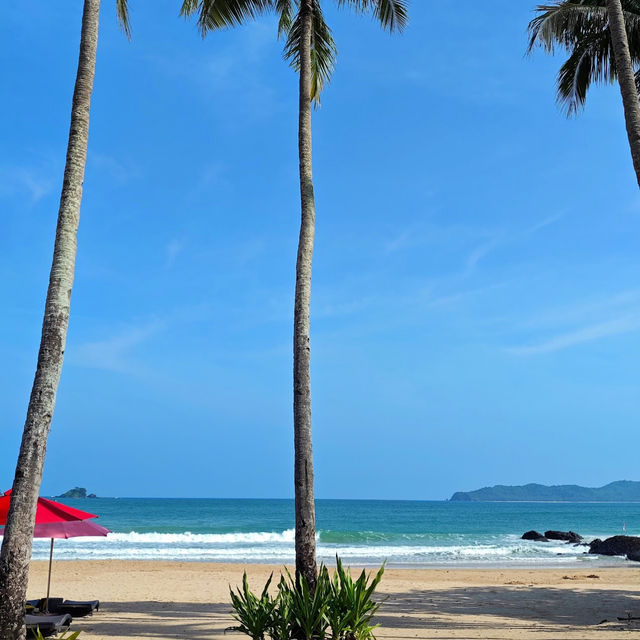 Nacpan Beach: A Peaceful Retreat in Palawan’s Coastal Paradise