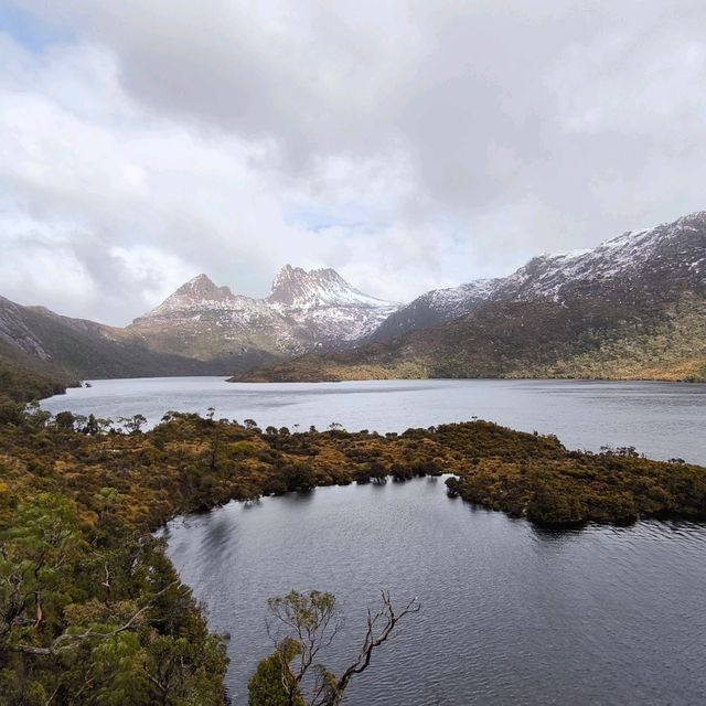 Tasmania Cradle mountain 