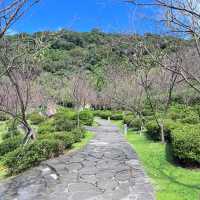 YANGMINGSHAN IS A MUST SEE ATTRACTIONS IN TAIPEI, TAIWAN