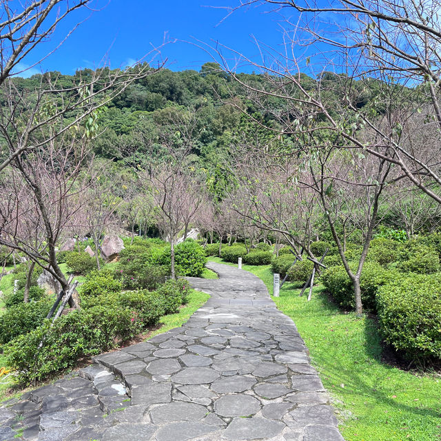 YANGMINGSHAN IS A MUST SEE ATTRACTIONS IN TAIPEI, TAIWAN