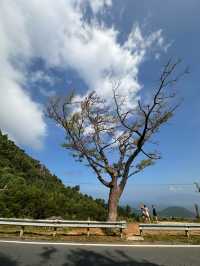 Absolutely scenic road nearby Danang 