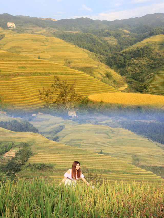 Golden Hues of Autumn: Exploring Longji Rice Terraces