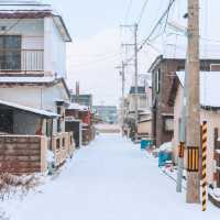 Sapporo, the heart of Hokkaido