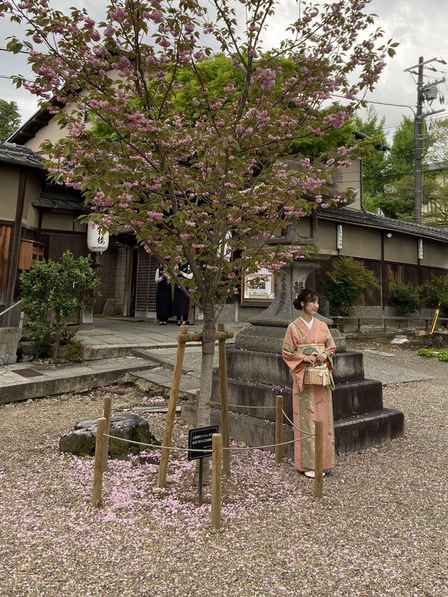 Yasaka Shrine: A Place of Spiritual Elegance