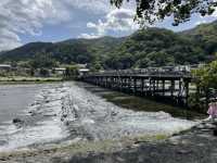 京都　渡月橋と竹林