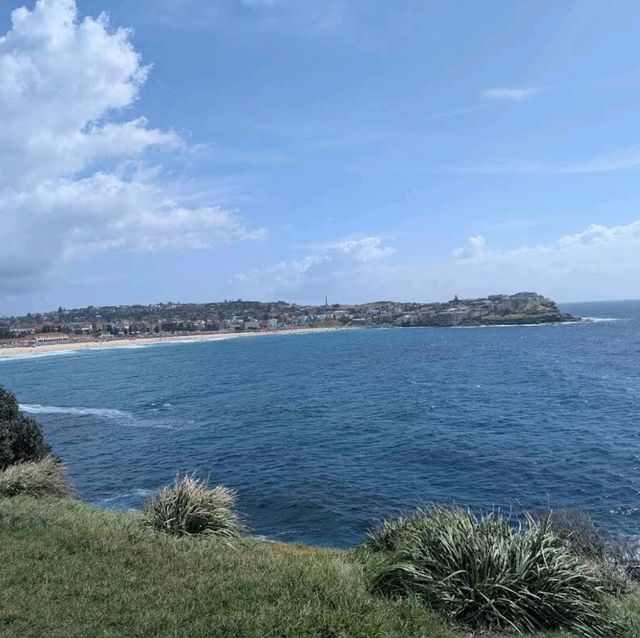 Bondi Beach