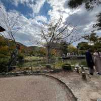 Kyoto: tip to avoid crowds