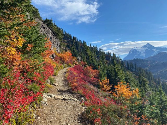 Mt Baker 賞秋Chain Lakes 徒步