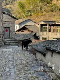 重走梁林路：延福寺——山下鮑村