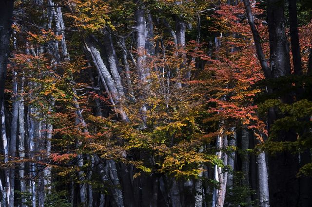 【南美五國遊之旅系列十七】阿根廷“烏斯懷亞港”