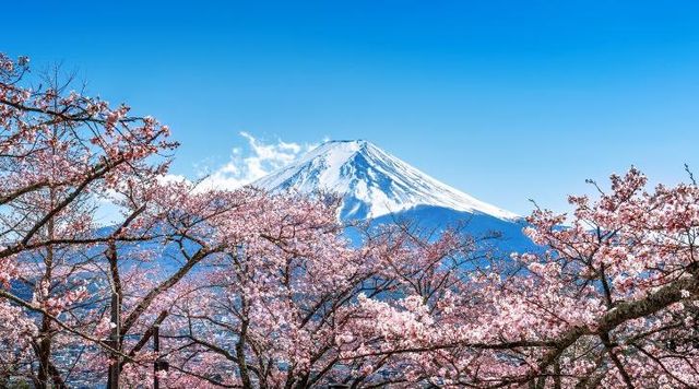 日本的小松，一個被嚴重低估的小眾旅行地！