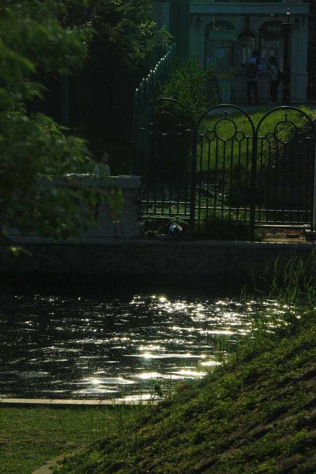 心血來潮朝陽公園行。