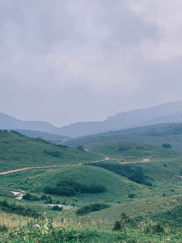 晉城析城山聖王坪‖