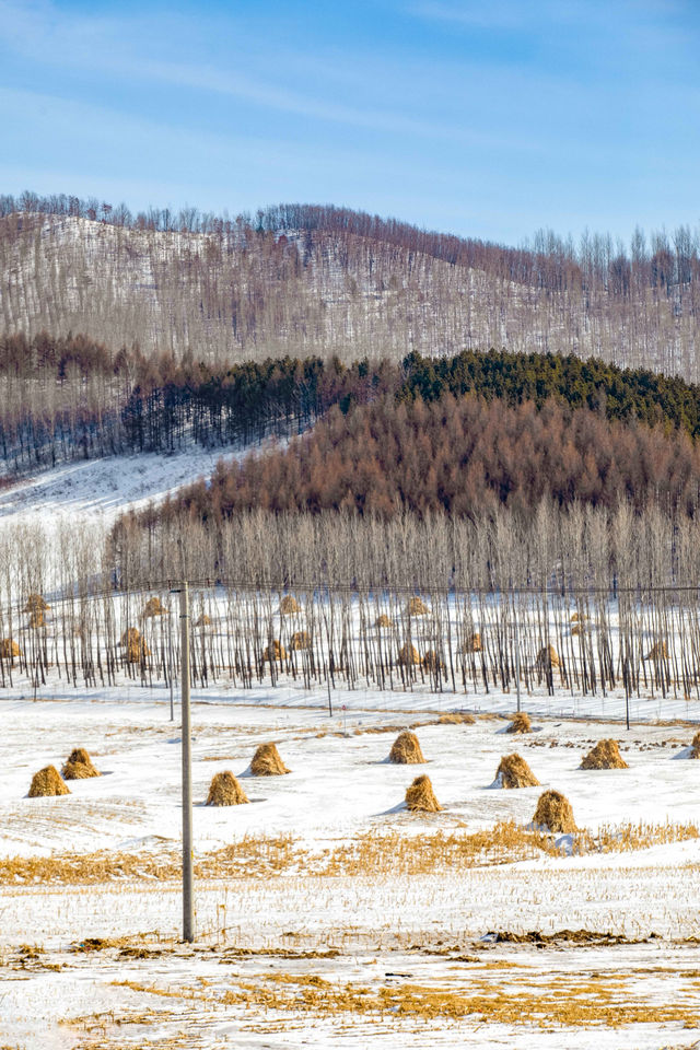 就為這一刻的雪景，我才跨越3000公里來東北