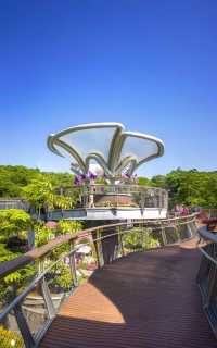 雲蘿植物園，廣州拍照打卡的頂流！