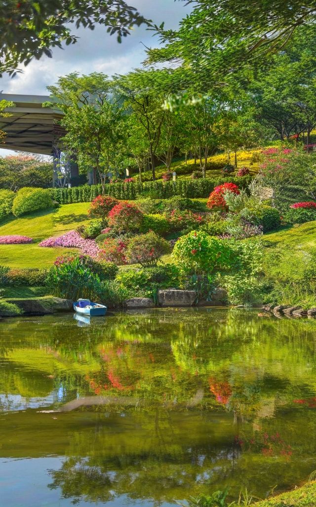 雲蘿植物園，廣州拍照打卡的頂流！