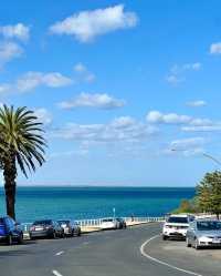 Geelong | 邂逅天藍海藍的極致浪漫