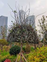 世界花藝園之禪境園和岩石花園