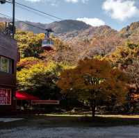 Beautiful Autumn View Naejangsan Park