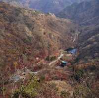 The most beautiful autumn place in korea . 