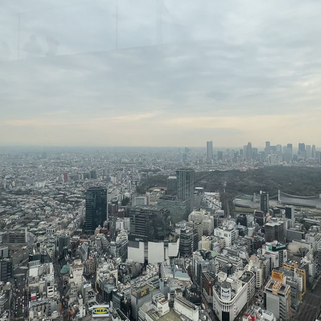 🌆 SHIBUYA SKY - 東京の天空で感じるパノラマビュー 🌌