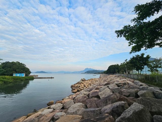 大埔區的隱世美麗公園