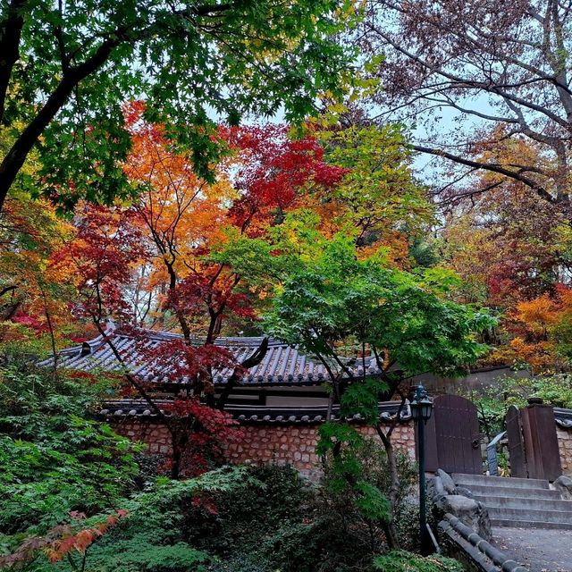 11中旬的首爾吉祥寺，令人平靜的寺廟