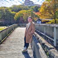 wakayama castle